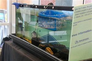 Picture of side of fish tank